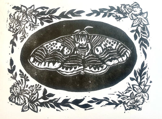 A4 Moth print